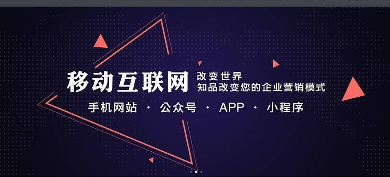 大渔手机网站